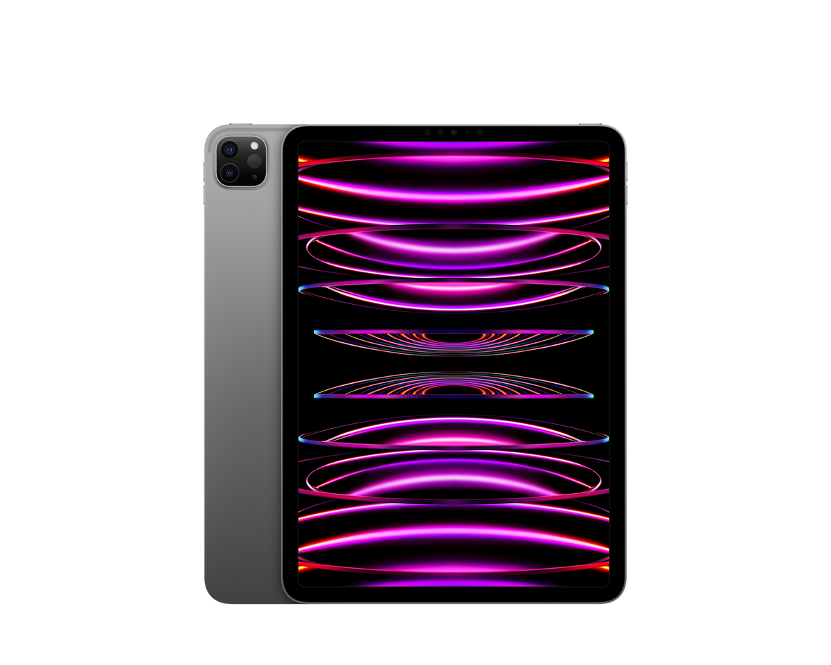 iPad Pro 11-inch (2nd generation) - ipad pro 11 inch 2nd generation 2020_space gray
