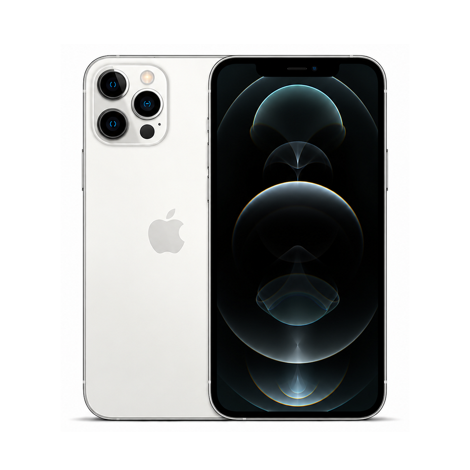 COCO standard image - iPhone 12 Pro Max