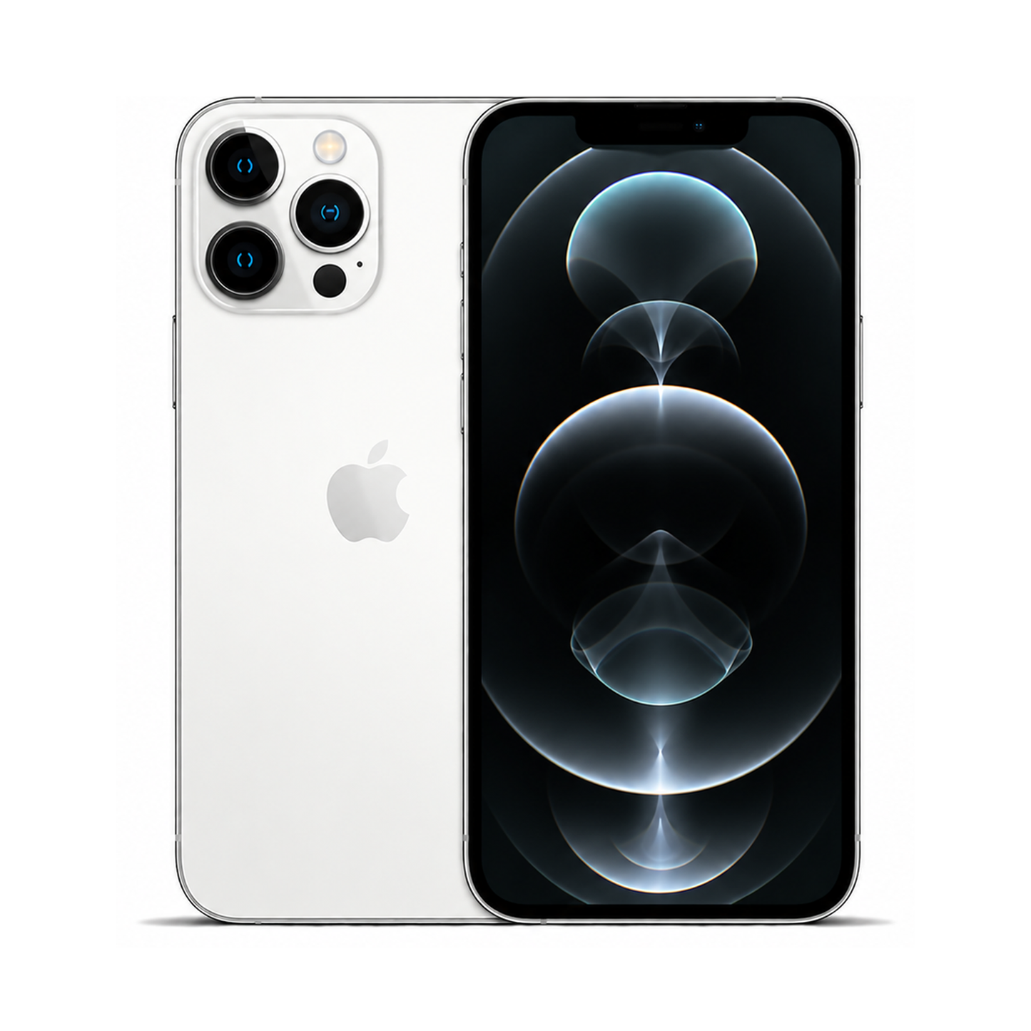 COCO standard image - iPhone 13 Pro Max