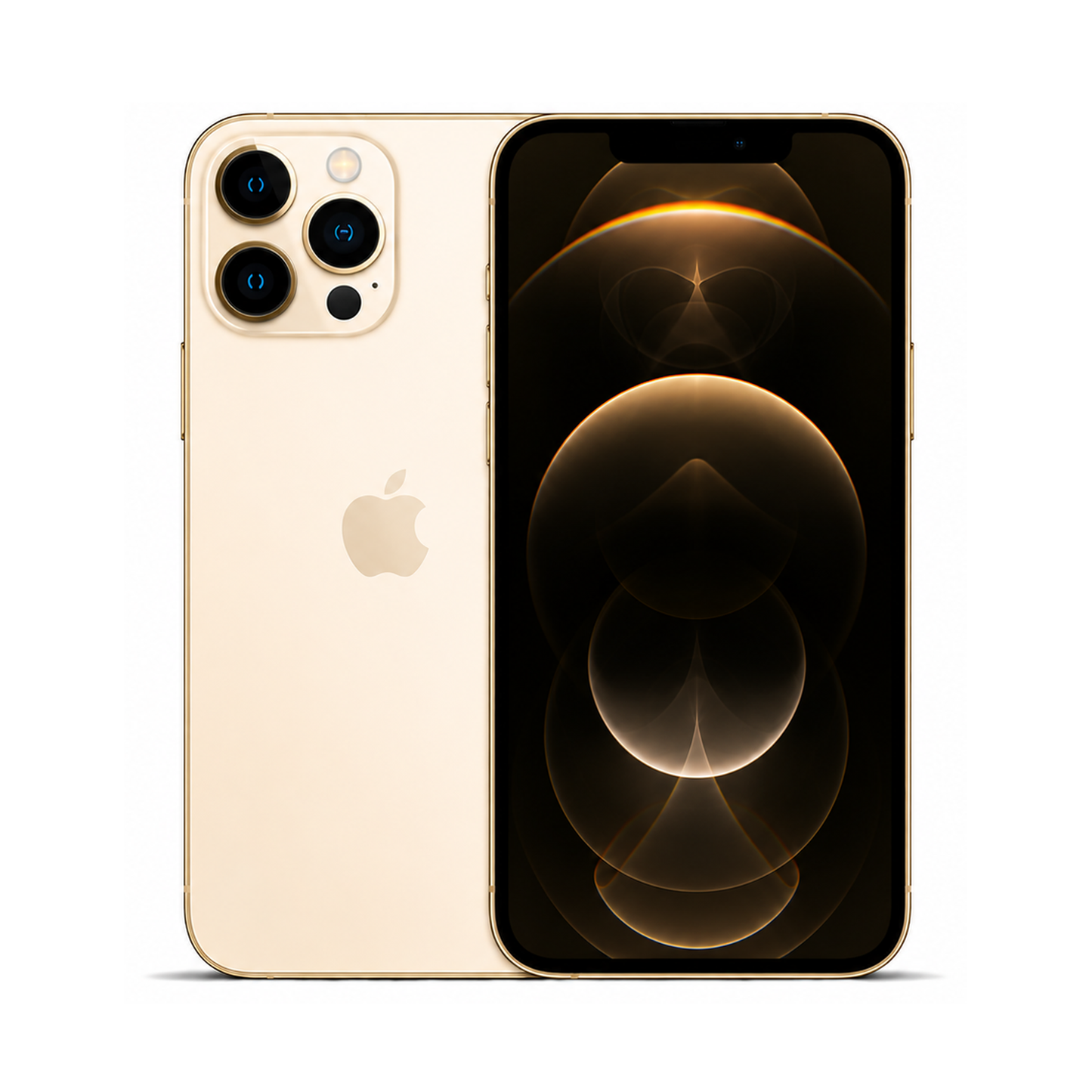 COCO standard image - iPhone 13 Pro Max