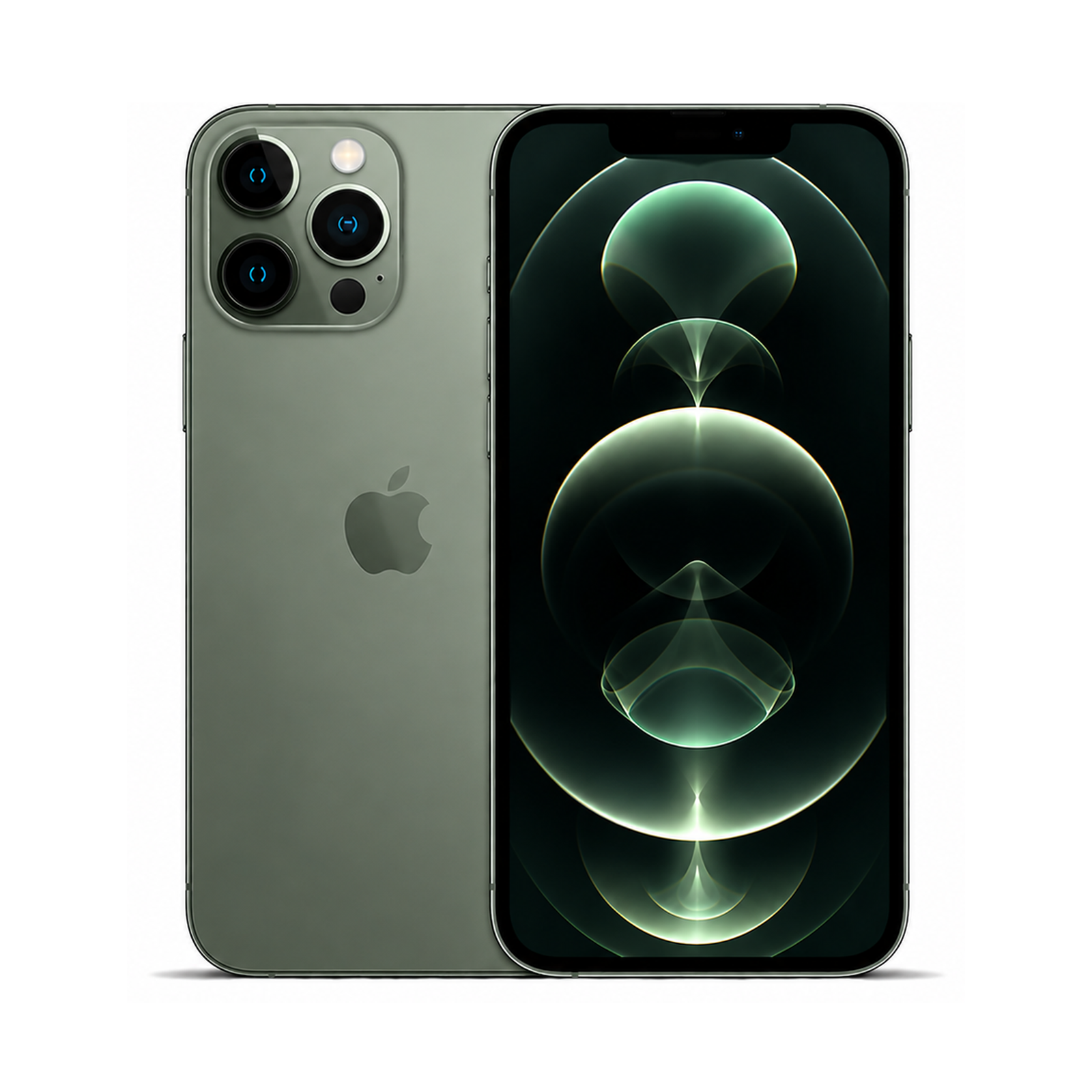 COCO standard image - iPhone 13 Pro Max