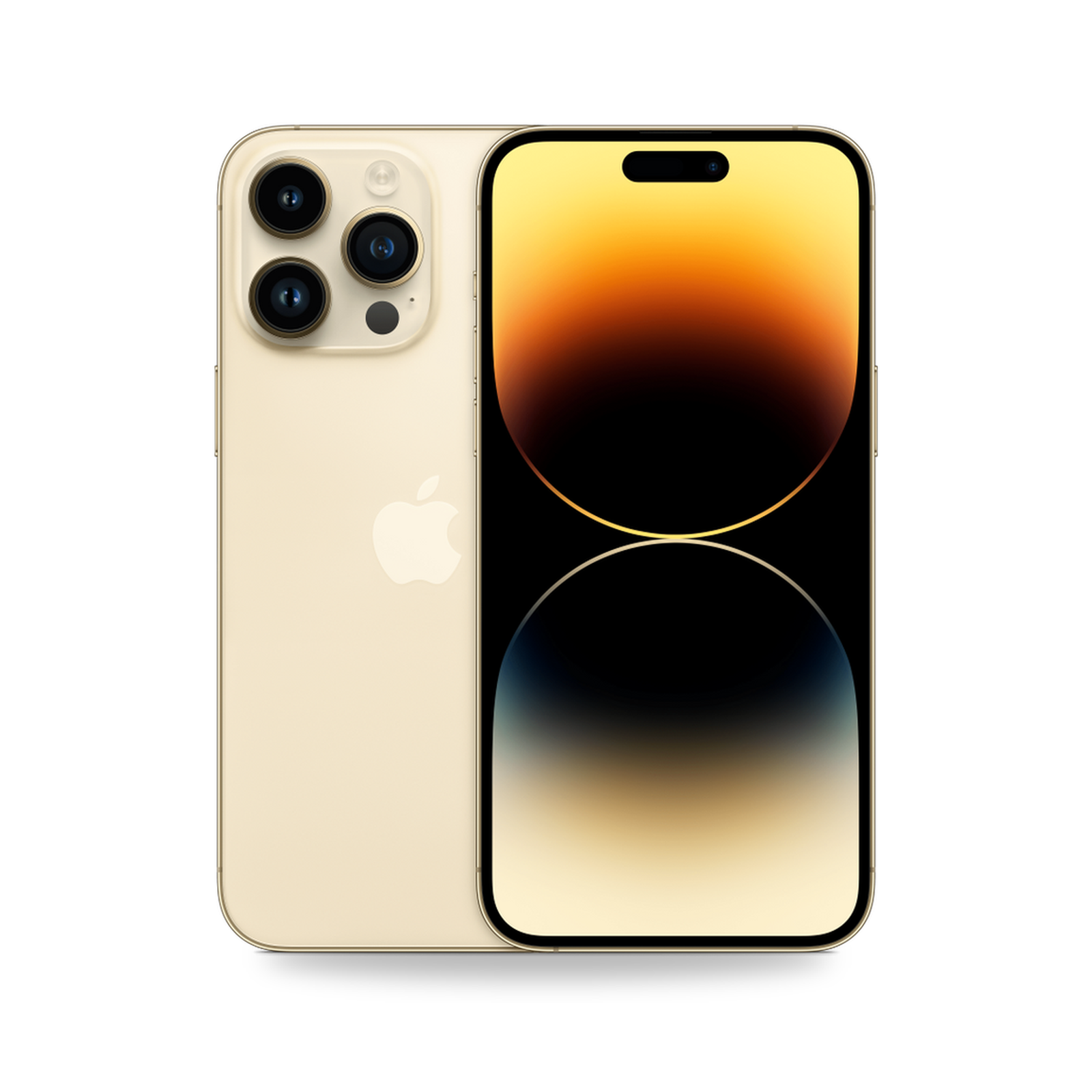 COCO standard image - iPhone 14 Pro Max