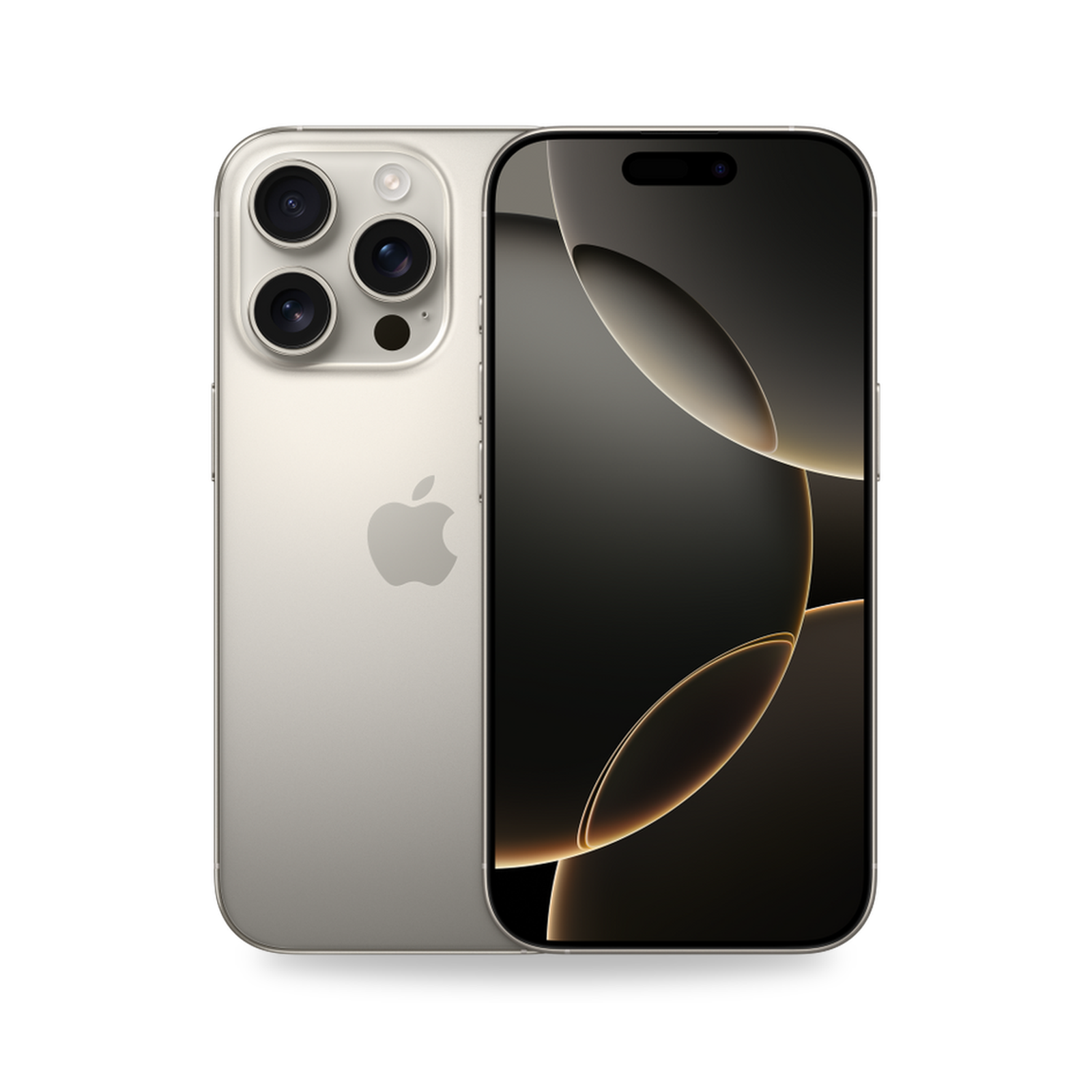 COCO standard image - iPhone 16 Pro