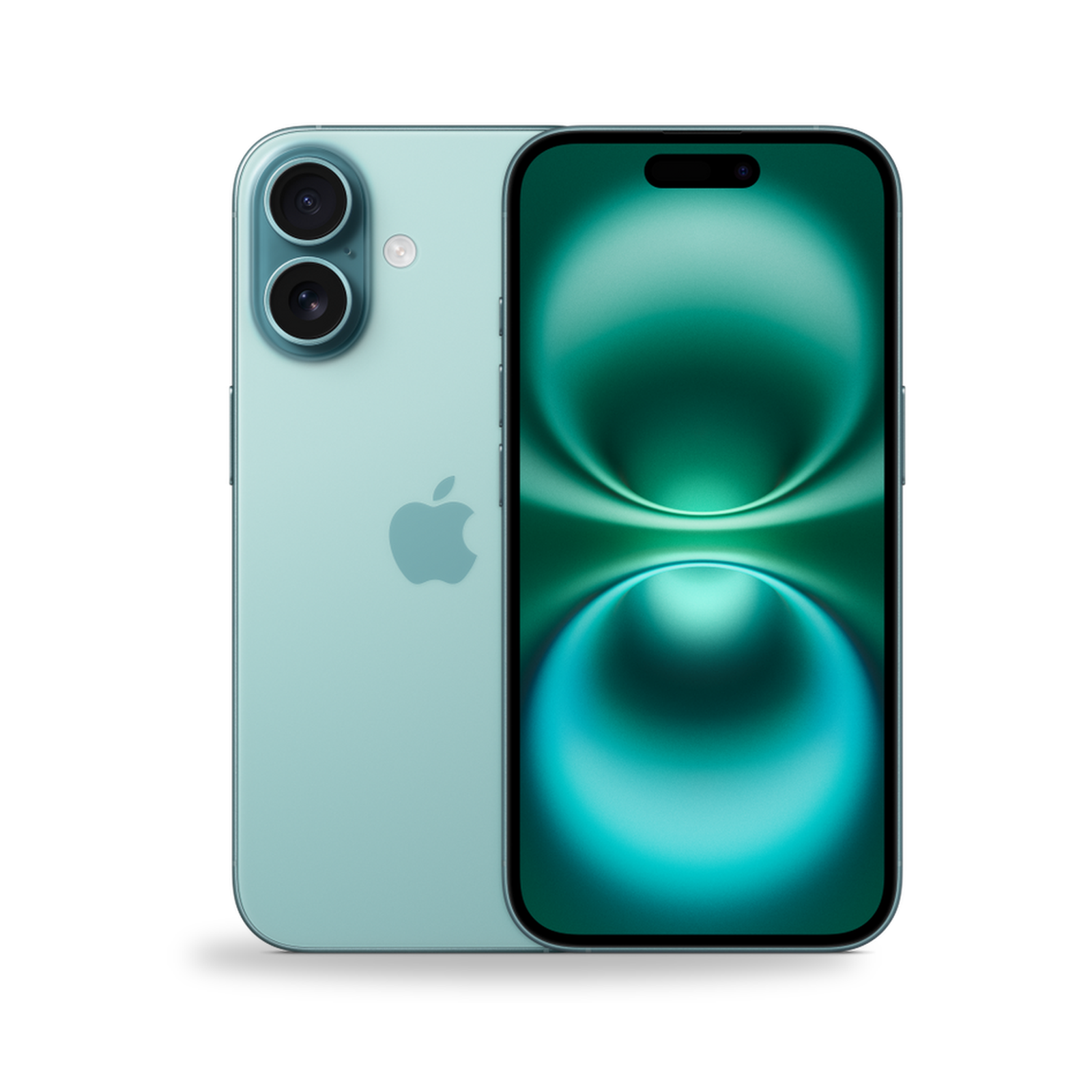 COCO standard image - iPhone 16