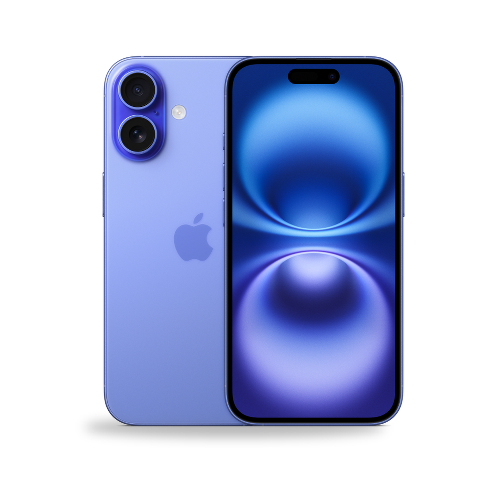 COCO standard image - iPhone 16